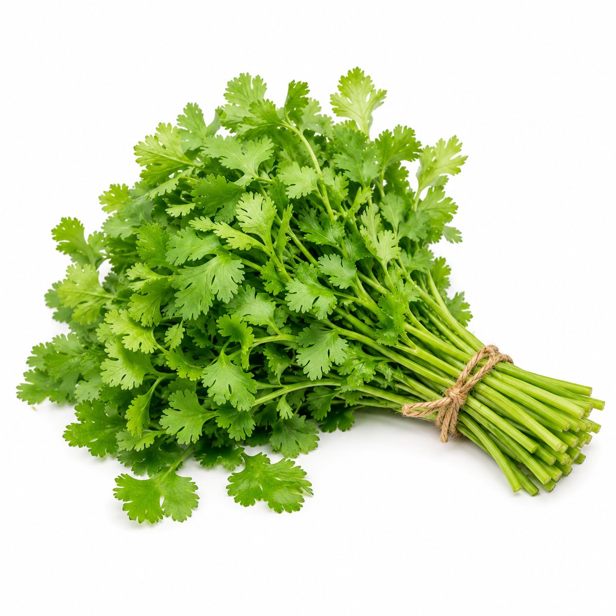 Fresh Coriander online in Jaipur
